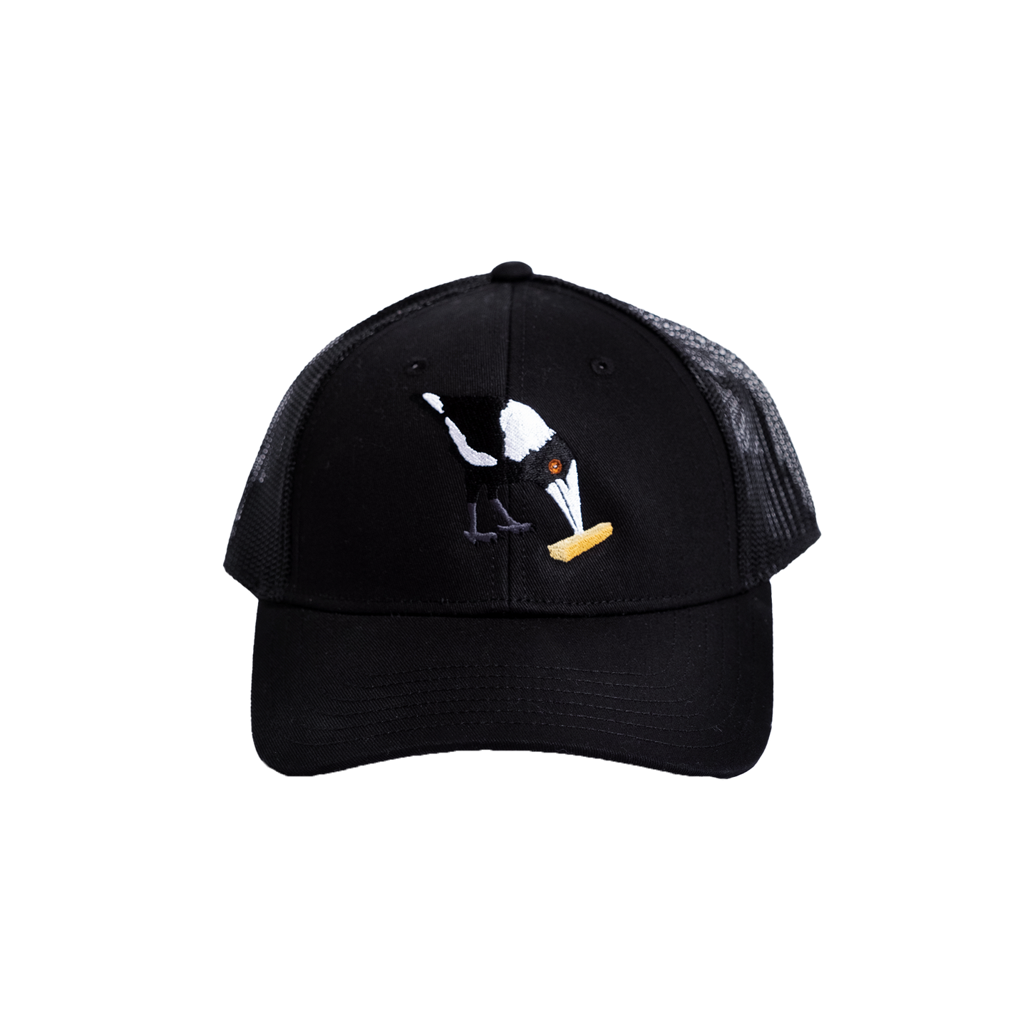 Big Swoop Cap